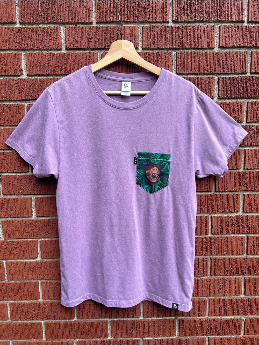 Poches & Fils Purple Dinosaur Pocket T-Shirt | Novelty Graphic Tee | Small